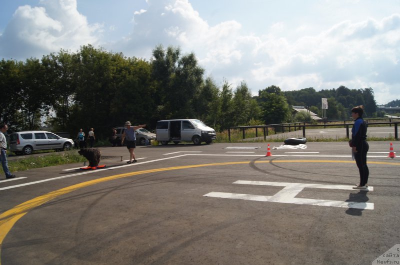 Фотография № 188712