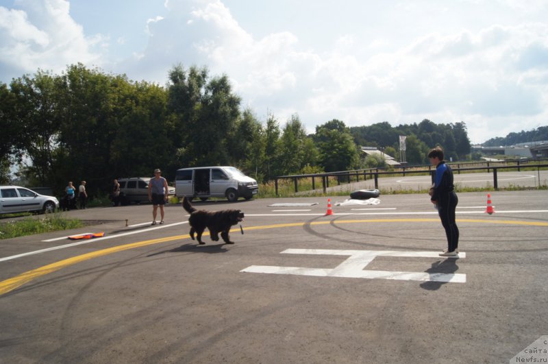 Фотография № 188713