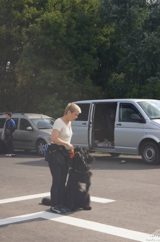 Фотография № 188715