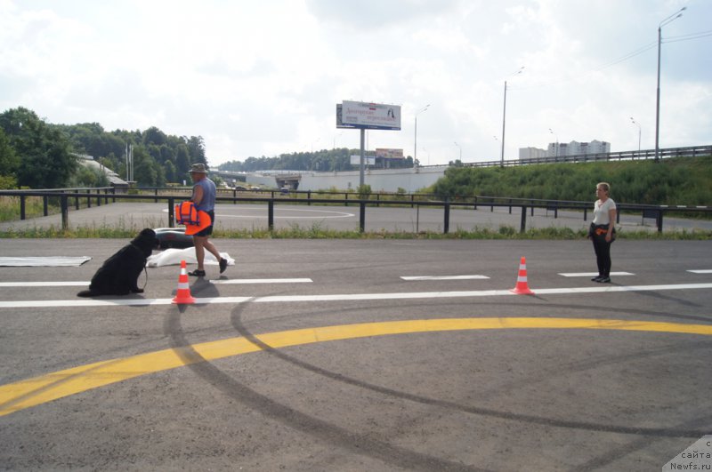 Фотография № 188716