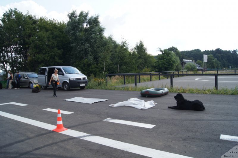 Фотография № 188717