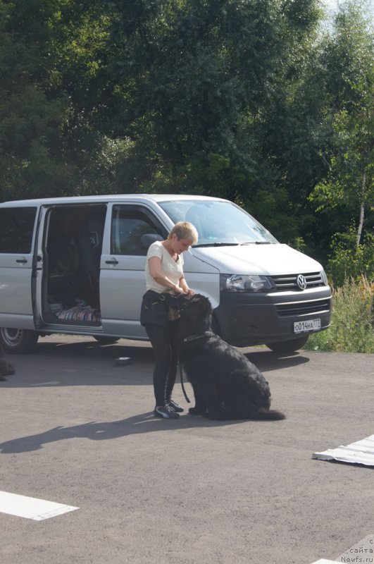 Фотография № 188718