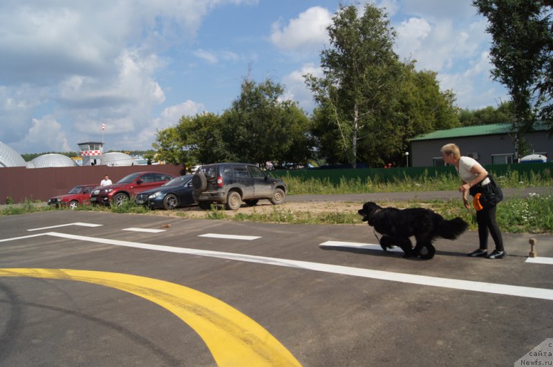 Фотография № 188719