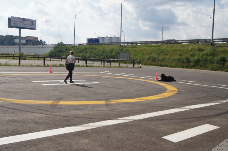 Фотография № 188722