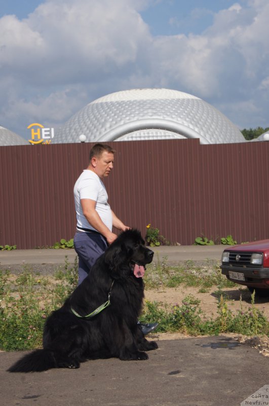 Фотография № 188723