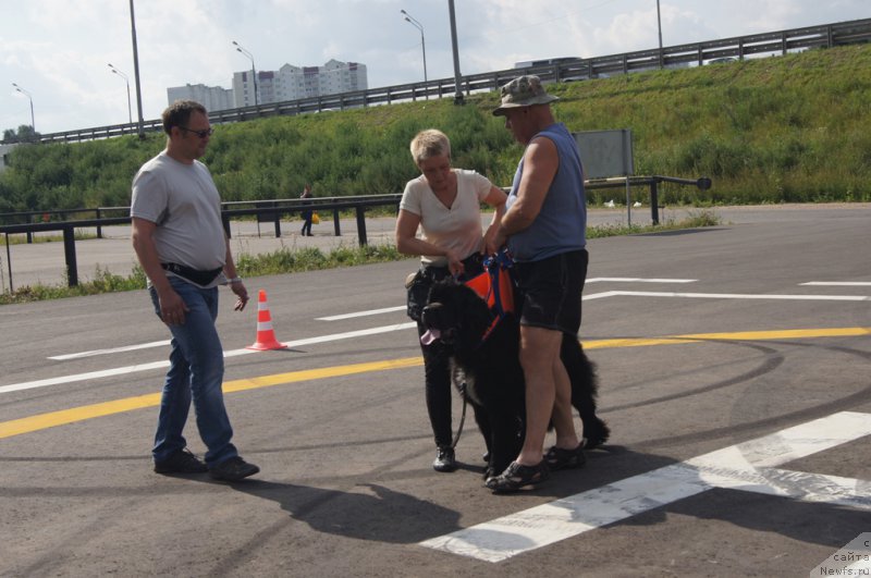 Фотография № 188725