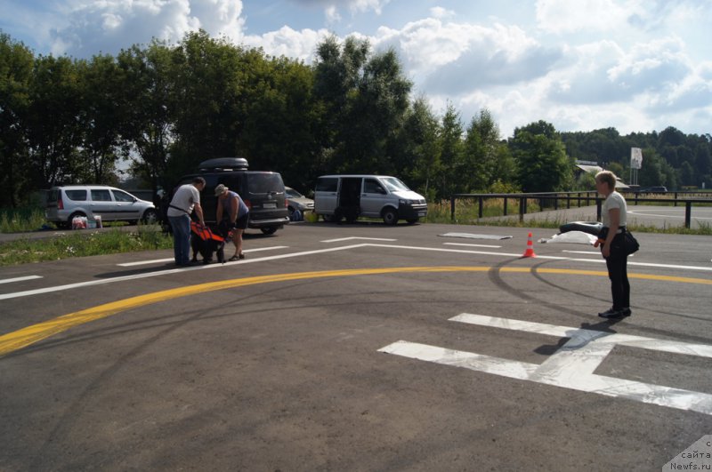 Фотография № 188726