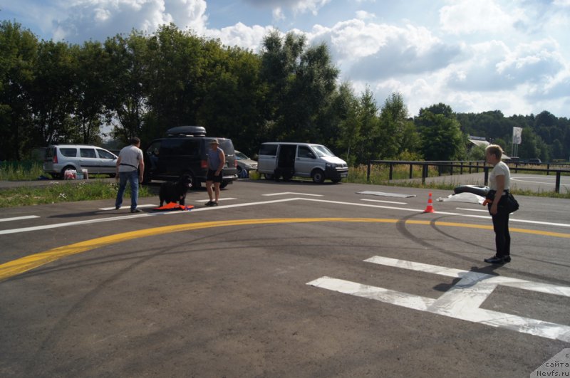 Фотография № 188727