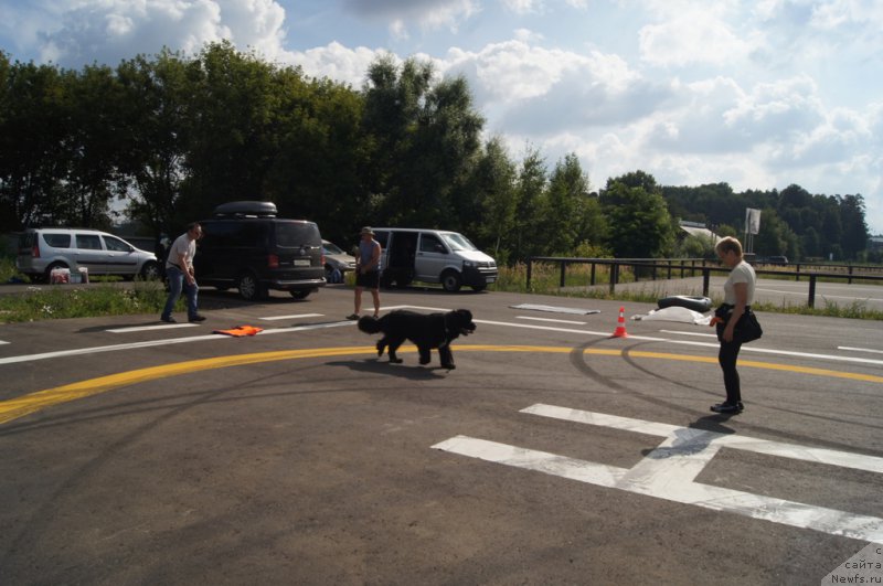 Фотография № 188728