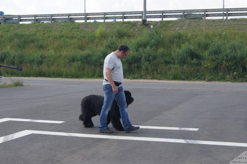 Фотография № 188730