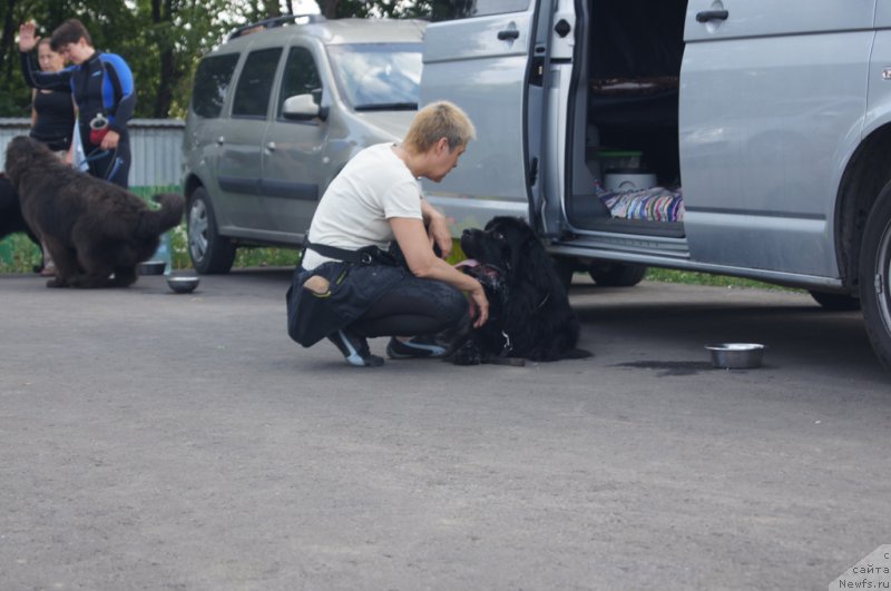 Фотография № 188732