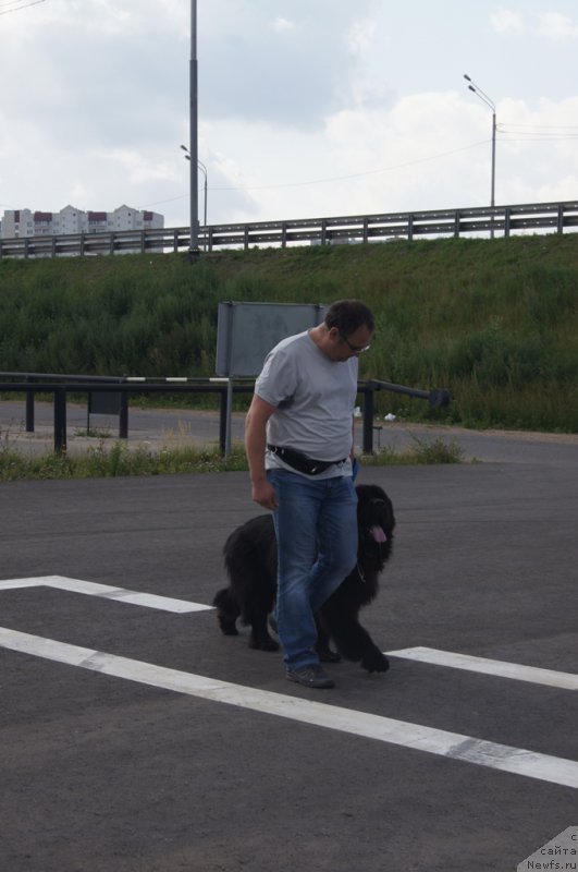 Фотография № 188733