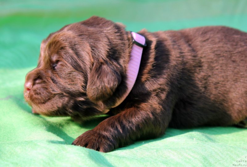 Фотография № 188741