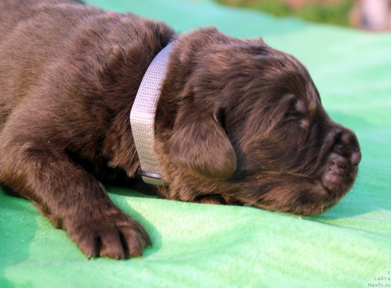 Фотография № 188748