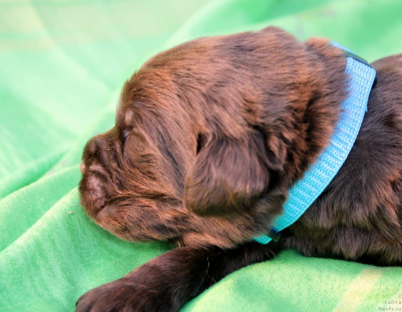 Фотография № 188751