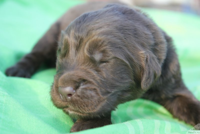 Фотография № 188753