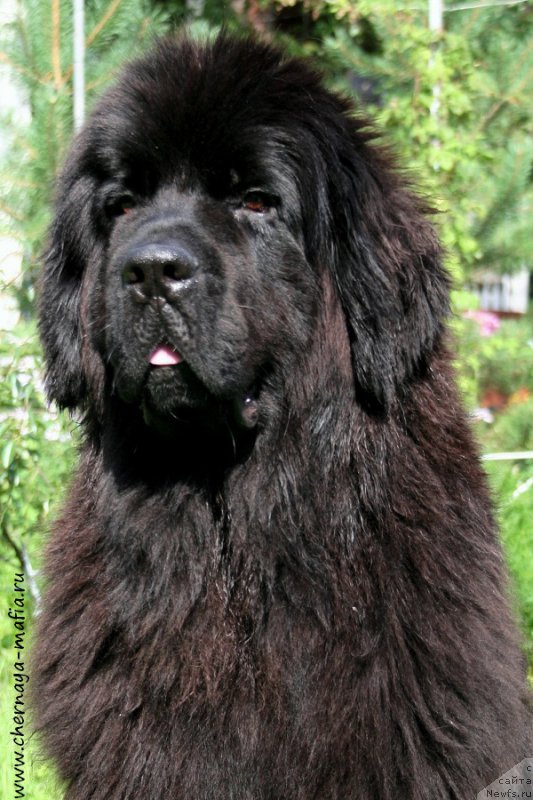 Фотография № 188786