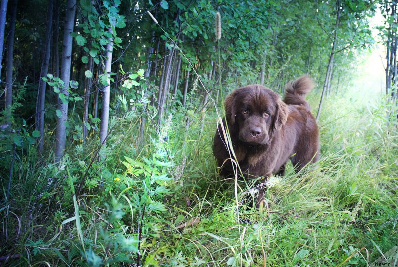 Фотография № 188788