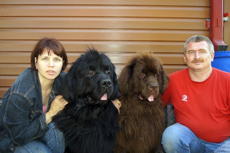 Фото: Ольга, ньюфаундленд Obush SHed Vil'gel'm Til' (Обуш Шед Вильгельм Тиль), ньюфаундленд Obush Shed Yakutia (Обуш Шед Якутия), Vladimir Nikolaev (Владимир Николаев)