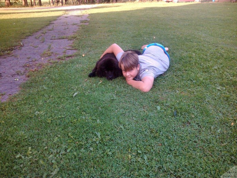 Фотография № 188817