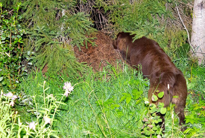 Фотография № 188823