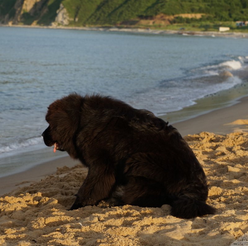 Фотография № 188833