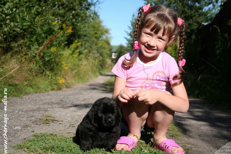 Фотография № 188844