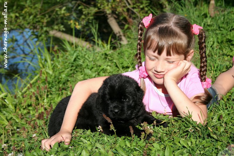 Фотография № 188847