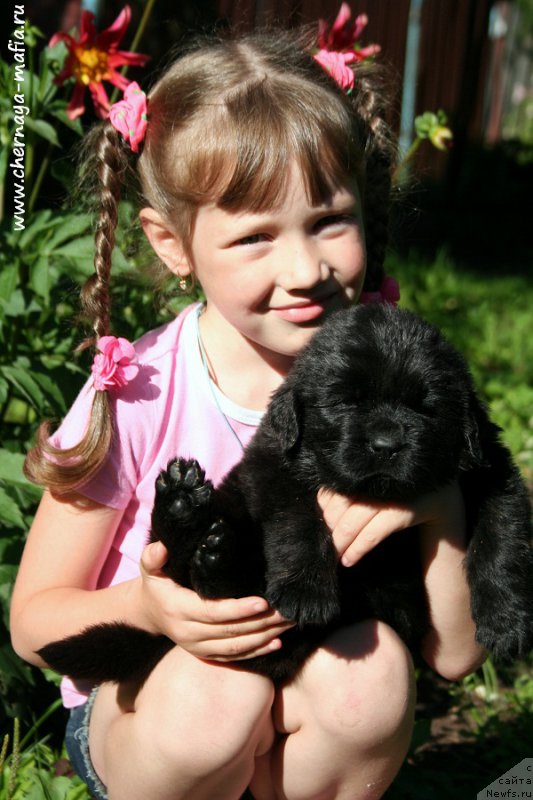 Фотография № 188848