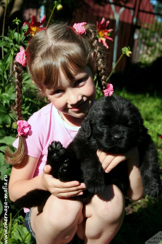 Фотография № 188849