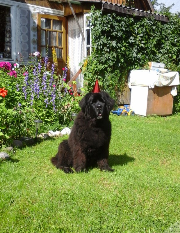 Фотография № 188854