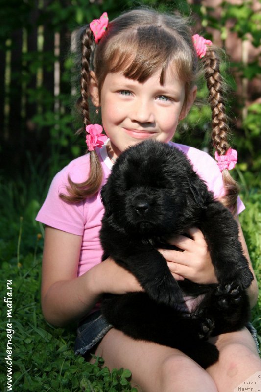 Фотография № 188857