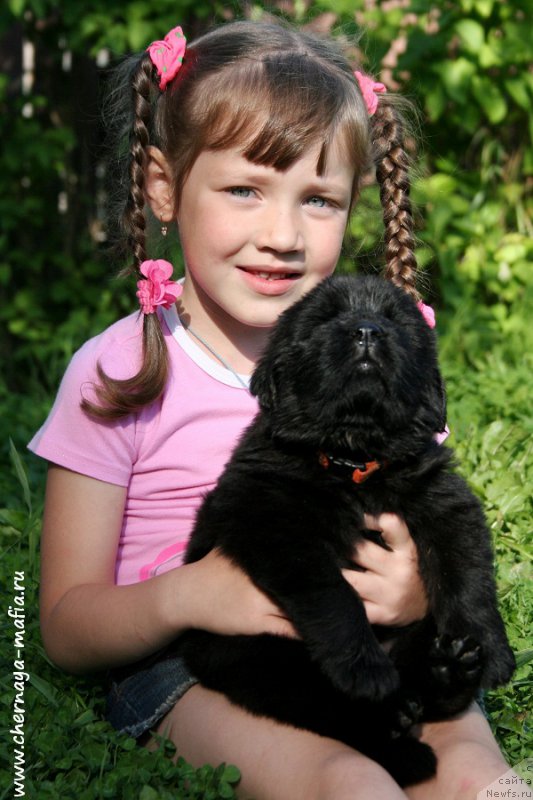 Фотография № 188858