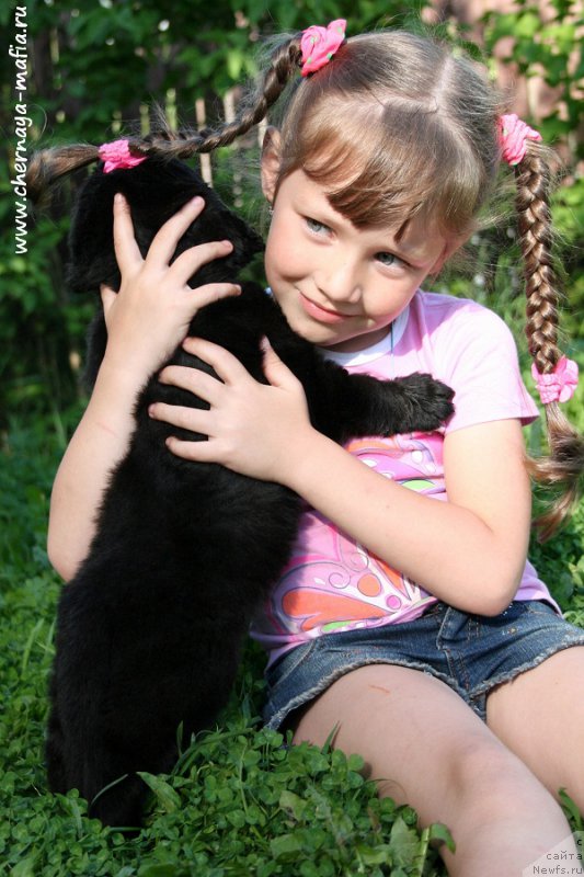 Фотография № 188859