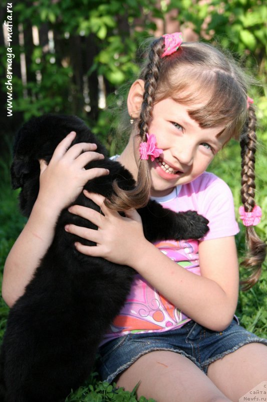 Фотография № 188860