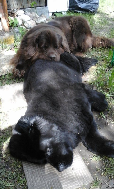 Фотография № 188861