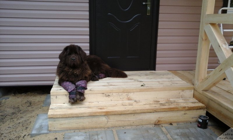 Фотография № 188866