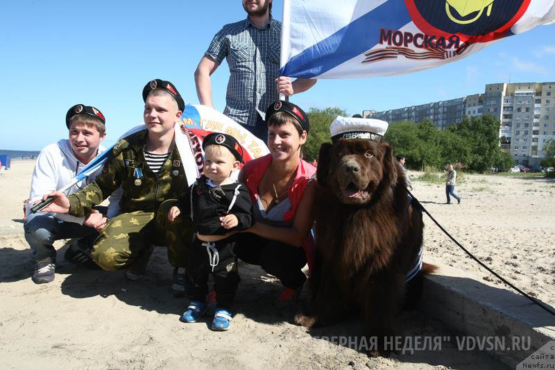 Фото: ньюфаундленд Horunzhy s Berega Dona (Хорунжий с Берега Дона)