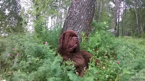 Фотография № 188895