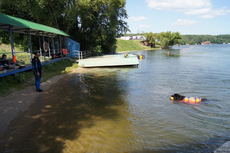 Фотография № 188952