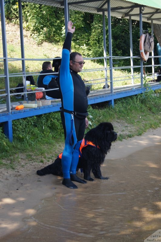 Фотография № 188953