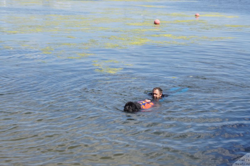 Фотография № 188958