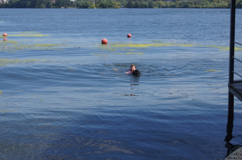 Фотография № 188959