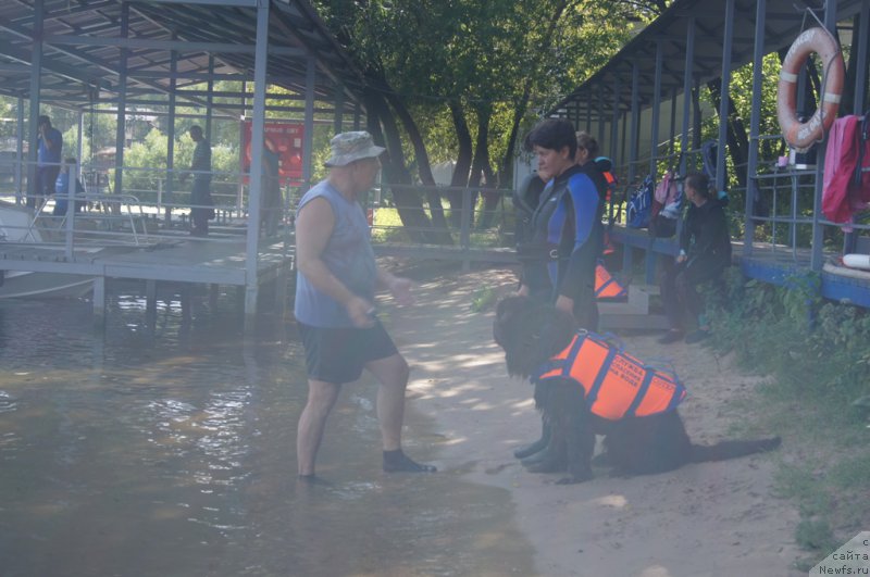 Фотография № 188962