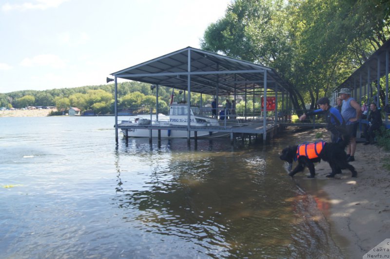 Фотография № 188963