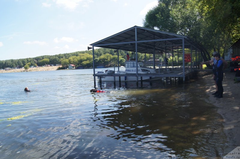 Фотография № 188965