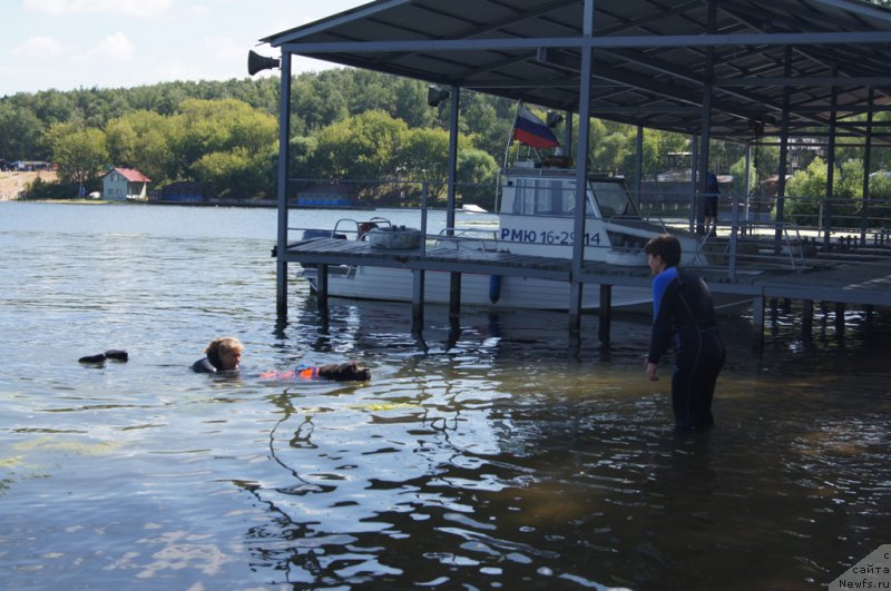 Фотография № 188966