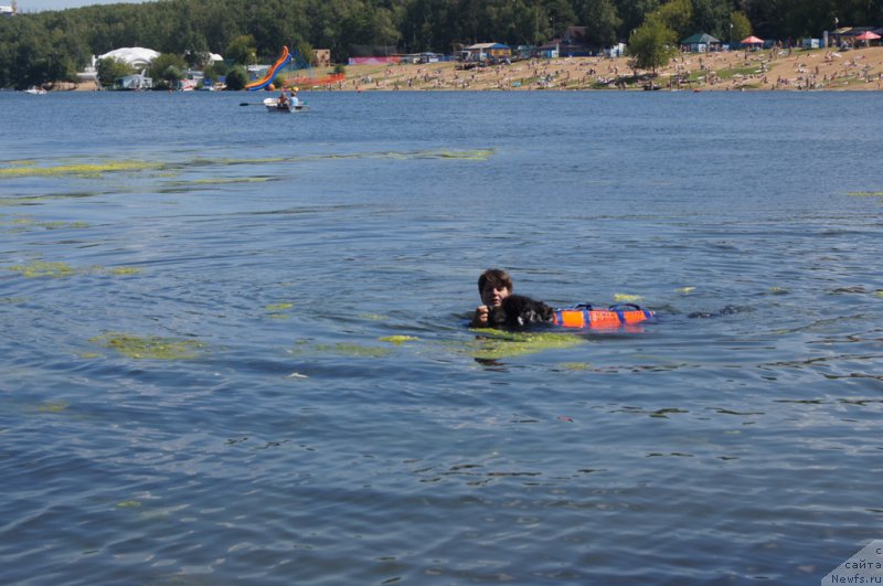 Фотография № 188967