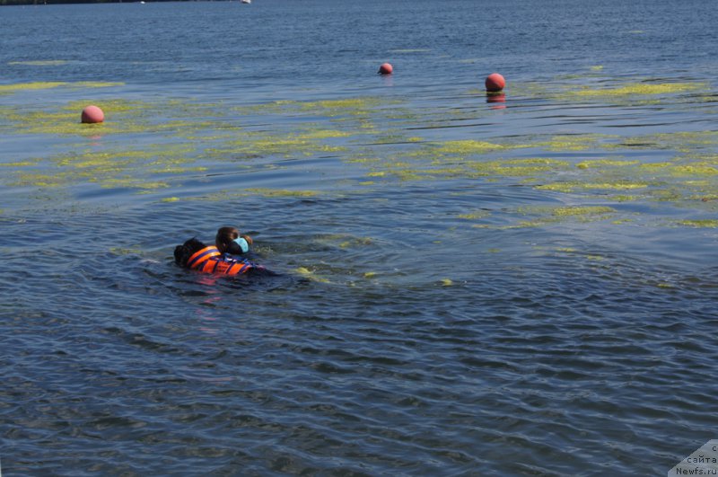 Фотография № 188970