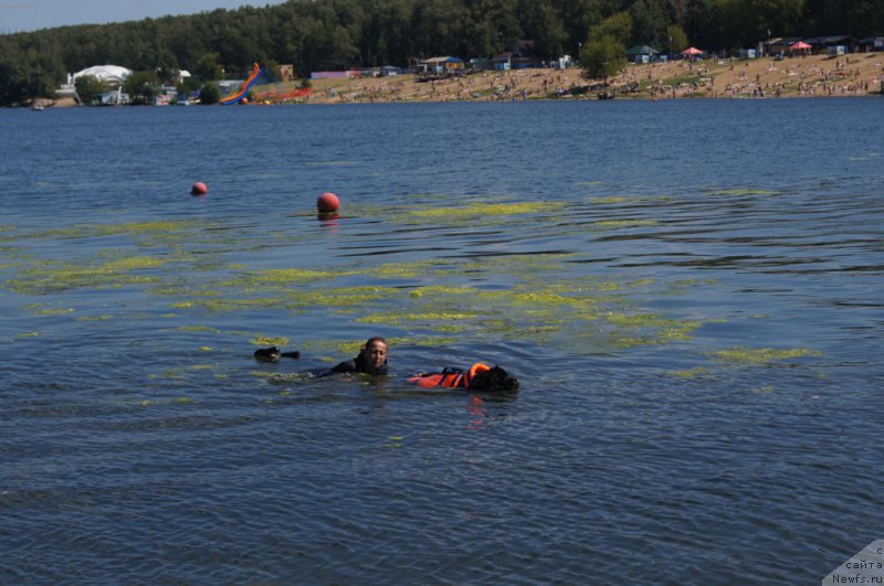 Фотография № 188971